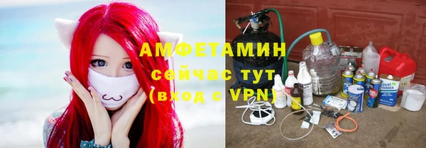прущие грибы Алексеевка