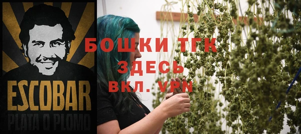 прущие грибы Алексеевка