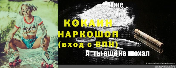 МДПВ Алексин