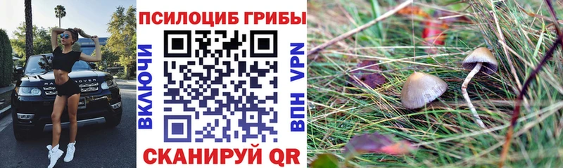 наркота  Набережные Челны  Галлюциногенные грибы ЛСД 